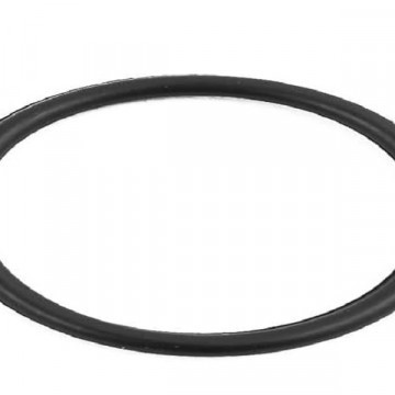 Anel Borracha Para Flange 20mm