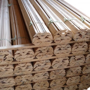 Cimalha Pinus 