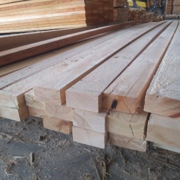 Eucalipto 2" - 5 cm x 15 Cm(largura) x 5,40m 